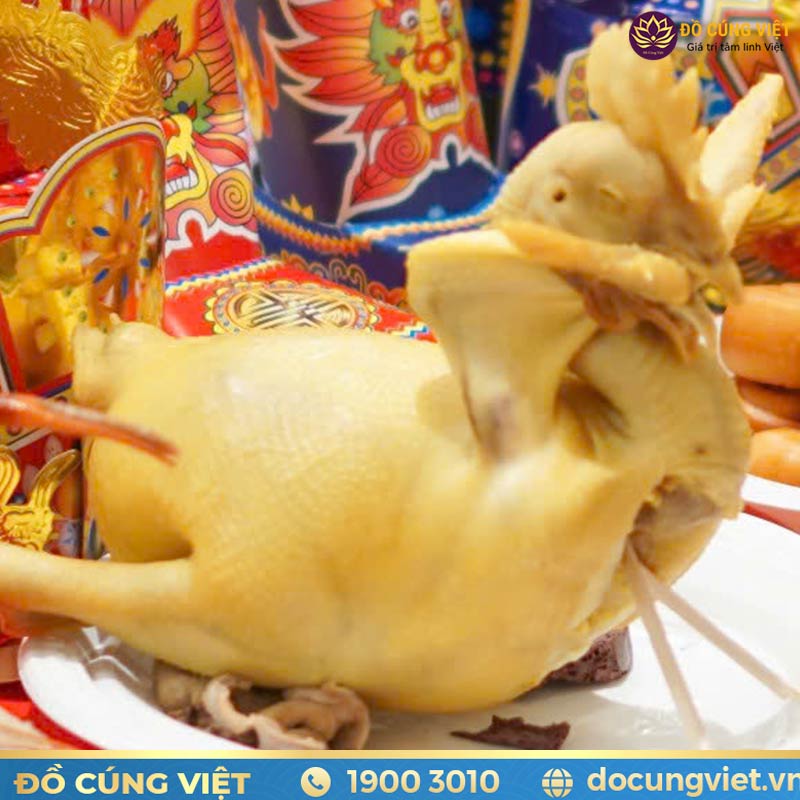 Gà cúng thôi nôi cho bé